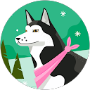 m n profile picture