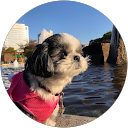 ムーミン profile picture